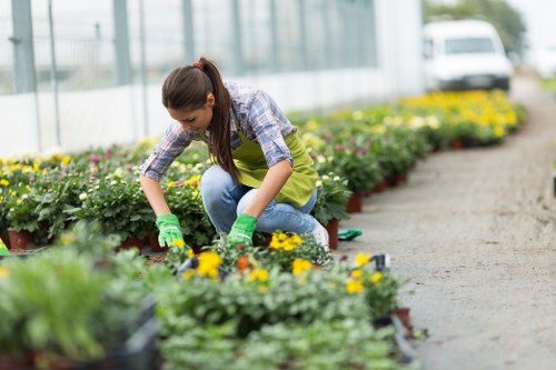 Transparent pricing for Gardeners Stanmore with garden clearance and maintenance estimates