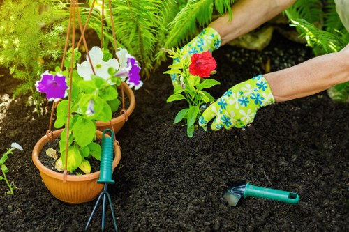 Healthy green lawn care in Stanmore with neat grass and garden borders