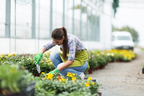 Gardeners in Stanmore caring for a well-kept outdoor space