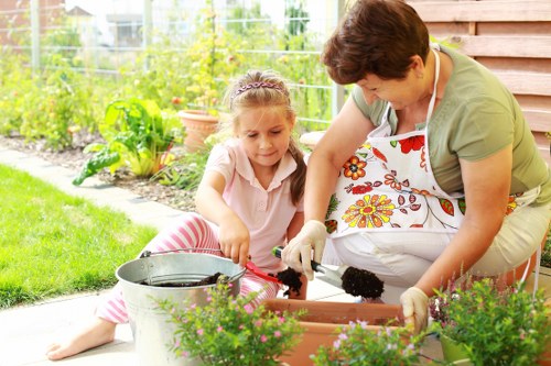 Lawn care in Stanmore focusing on soil health and grass repair