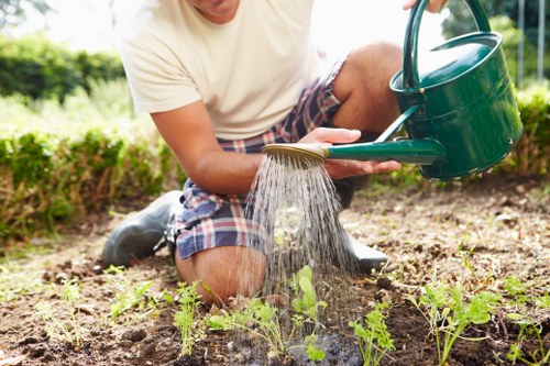 Well-kept garden maintenance in Stanmore with trimmed lawns and tidy borders