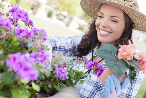 Professional lawn mowing in Stanmore for a tidy suburban garden