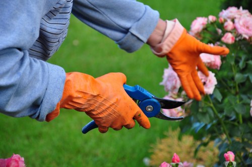 Risk assessment for gardening work in Stanmore