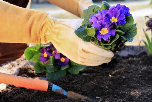 Stanmore garden lawn treatment improving kerb appeal and outdoor space