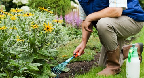 A landscaped Stanmore garden with trees, shrubs, and smart paving