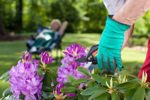 Professional gardeners in Stanmore working on seasonal garden care