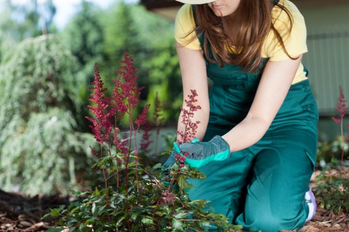 Stanmore gardeners maintaining a neat and healthy garden