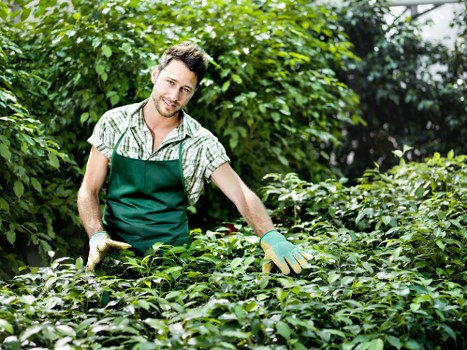 Public liability insurance and professional garden safety for Stanmore gardeners