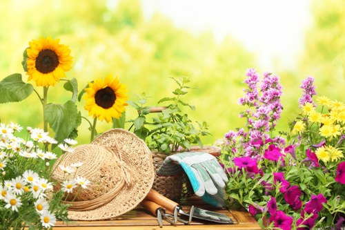 Seasonal gardening care in Stanmore for lawns and plants