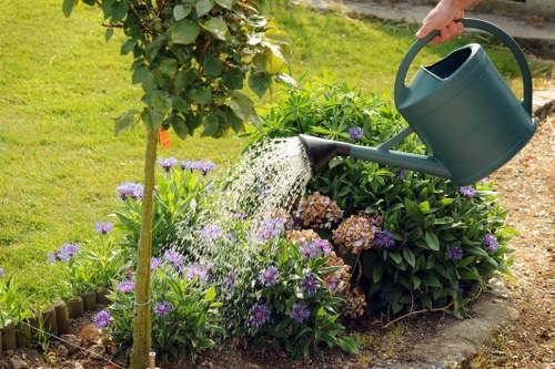 Local gardening services trimming hedges and caring for flower beds in Stanmore