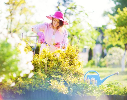 Service liability and customer obligations overview