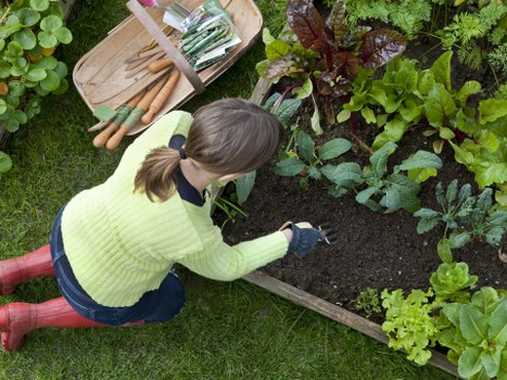 Charity reuse and recycling in a Stanmore garden service
