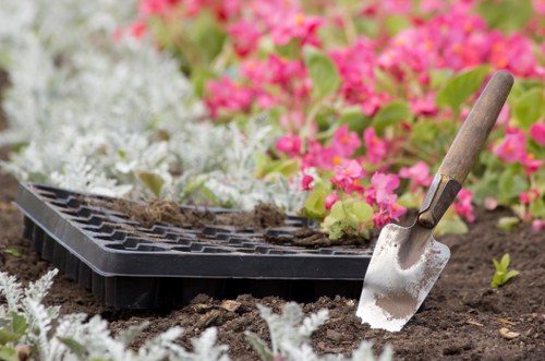 Seasonal planting and structure for a Stanmore residential garden design