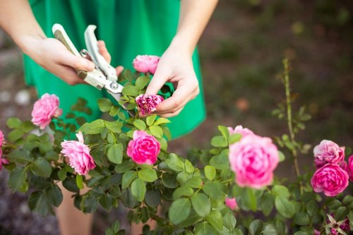 Low-carbon van supporting eco-friendly garden services