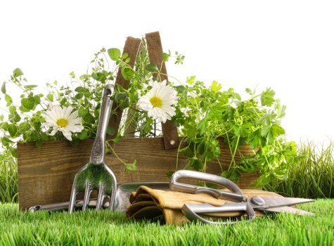 Final commitment to ethical practices at Gardeners Stanmore