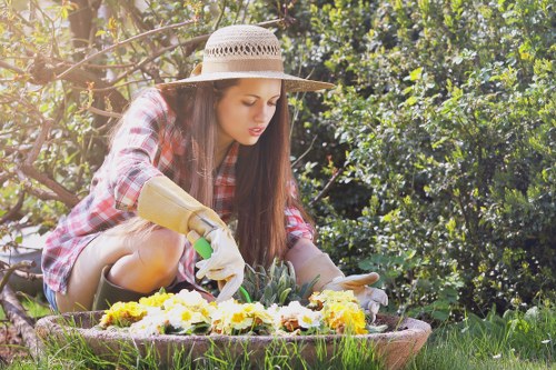 Professional garden clearance in Stanmore with green waste collection