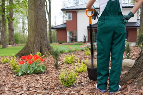 Free quote policy for Gardeners in Stanmore with clear service pricing
