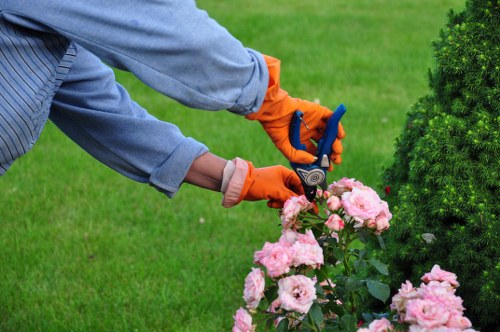 Well-kept Stanmore lawn and border maintenance by a professional gardener