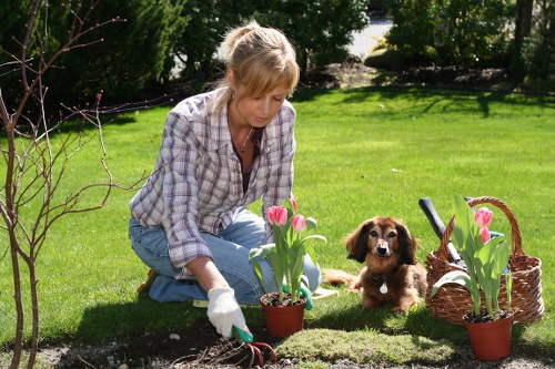 Seasonal pruning and shaping for garden maintenance in Stanmore