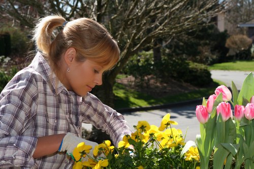 Professional garden maintenance in Stanmore with trimmed borders