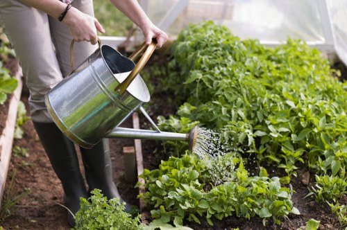 Expert gardeners in Stanmore shaping hedges and garden beds