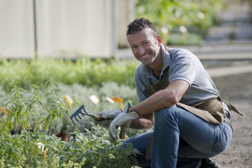 Healthy lawn care as part of garden maintenance in Stanmore