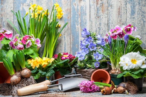 Accessibility support notice for Stanmore gardening visitors