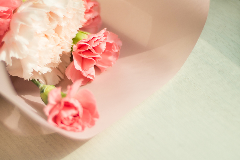 hedge trimming hedge pruning